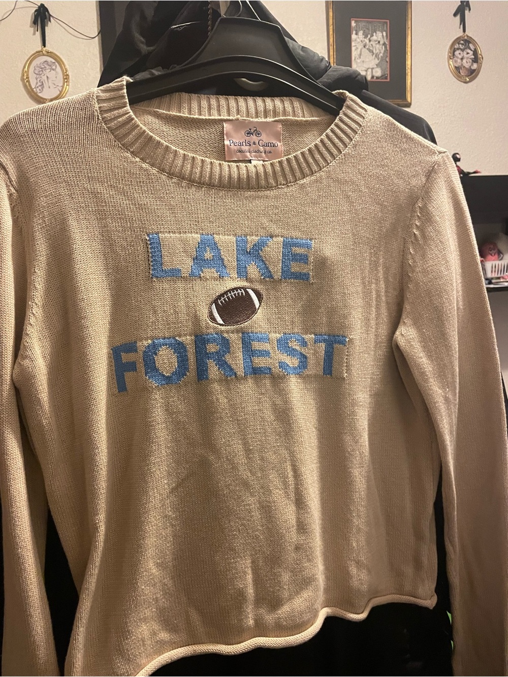 Lake Forest Crewneck Sweater in Beige with Blue Graphic